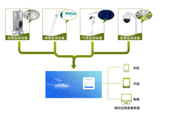 農(nóng)業(yè)四情監(jiān)測(cè)系統(tǒng)解決方案